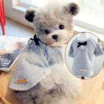 Bộ áo cho cún iu ndd