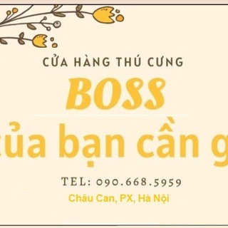 Boss của bạn cần gì?