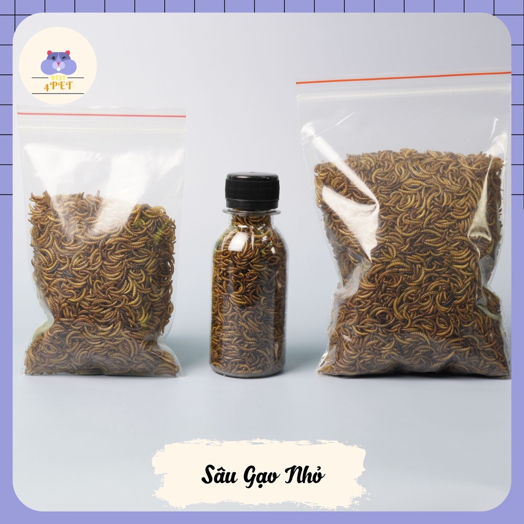 Sâu Gạo Mini Sấy cho Hamster [20gr 10k]