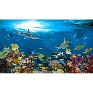 Tranh dán tường Đàn cá dưới đáy biển sâu, tranh dán tường 3d hiện đại (tích hợp sẵn keo)