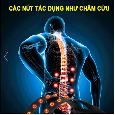 Khung Nắn Chỉnh Cột Sống, Hỗ Trợ Giảm Thoát Vị Đĩa Đệm, Vai Gáy, Dụng Cụ Hỗ Trợ Tập Đau Lưng - Chính Hãng Amalife