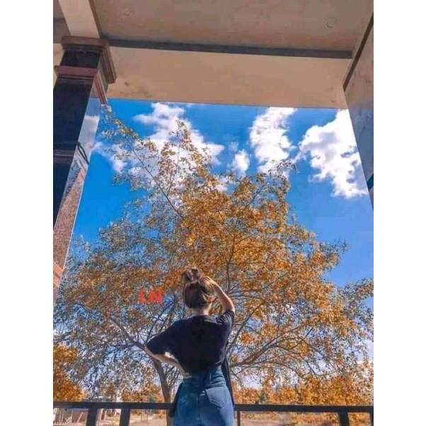 Áo Thun Tay Lỡ Form Rộng Unisex , Áo Thun Buộc Dây Lưng Siêu Xinh (Kèm Ảnh Thật)