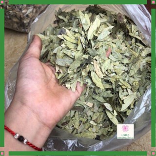 1 Kg Phan tả diệp giúp nhuận tràng, giảm cân, giảm béo