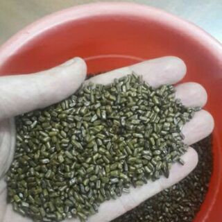 1 kg hạt muồng
