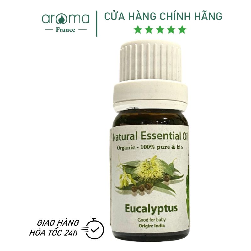 Tinh Dầu Xông Aroma Khuynh Diệp 10ml