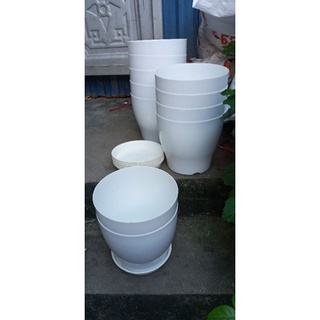 5 cái chậu nhựa TRỒNG HOA trắng trơn kèm đĩa  rộng 24cm x22cm