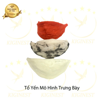 YẾN NHỰA TRƯNG BÀY TỦ KÍNH - SANG TRỌNG