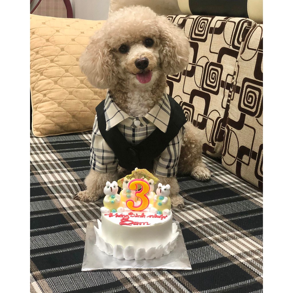 Áo khỉ khác ngoài kèm nơ cho chó mèo - Áo vest kèm nơ cho chó mèo yudog
