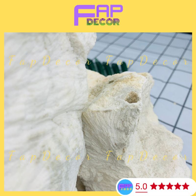 Đá Thủy Sinh, Đá Vôi Trang Trí Bể Cá Làm Hòn Non Bộ, Làm Vườn Trang Trí Nhà Cửa - FapFood