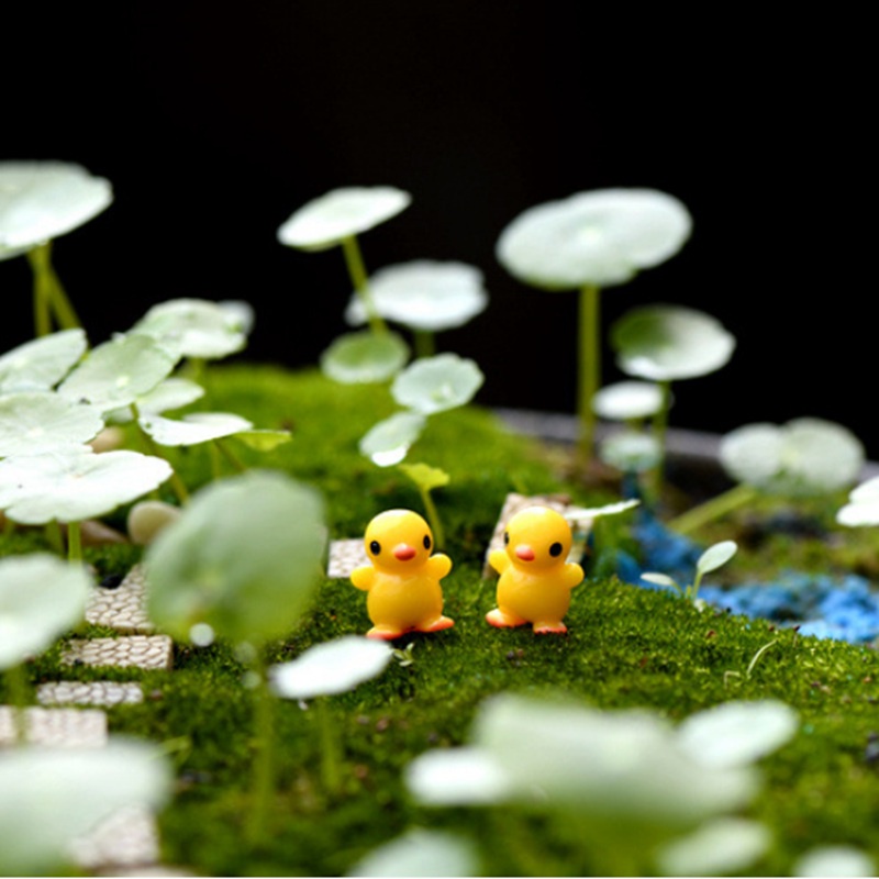 Bộ 5 Mô Hình Vịt Đứng Dùng Trang Trí Vườn