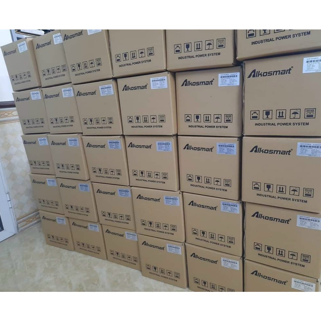 Kích điện Inverter Sin Chuẩn 12V/1000VA/600W