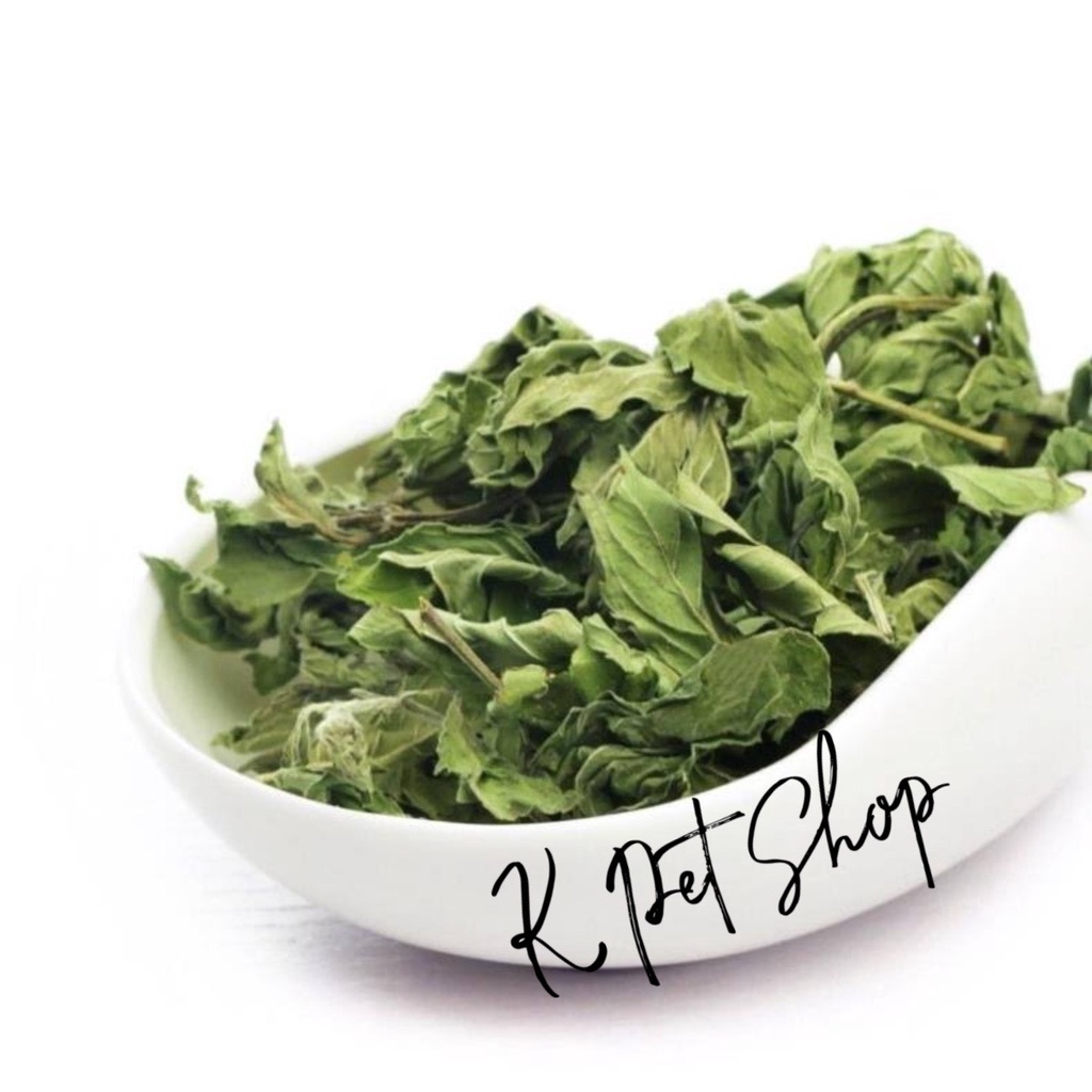 Lá bạc hà giải thiệt the mát cho thỏ bọ chinchilla