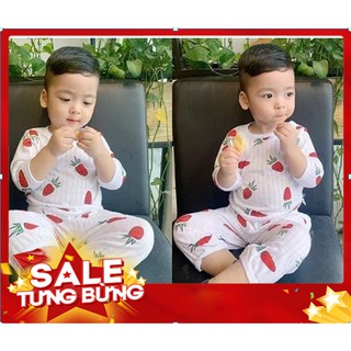 Combo 5 bộ cotton giấy dài tay mặc điều hoà