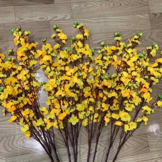 Cành hoa mai trang trí ngày Tết