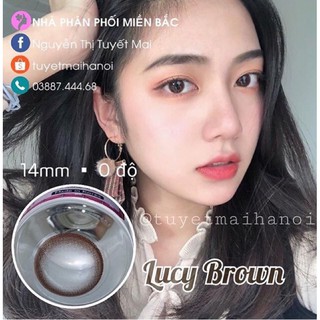 lens choco 14dp 0 độ