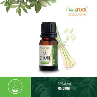[Đuổi muỗi] Tinh dầu Sả Chanh 10ml (Chọn treo hoặc lọ xông)