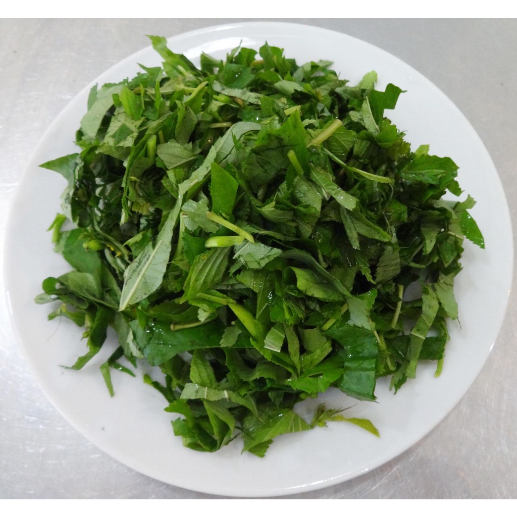 Hạt giống rau đay trắng (rau đay xanh) - Shop hạt giống 1K