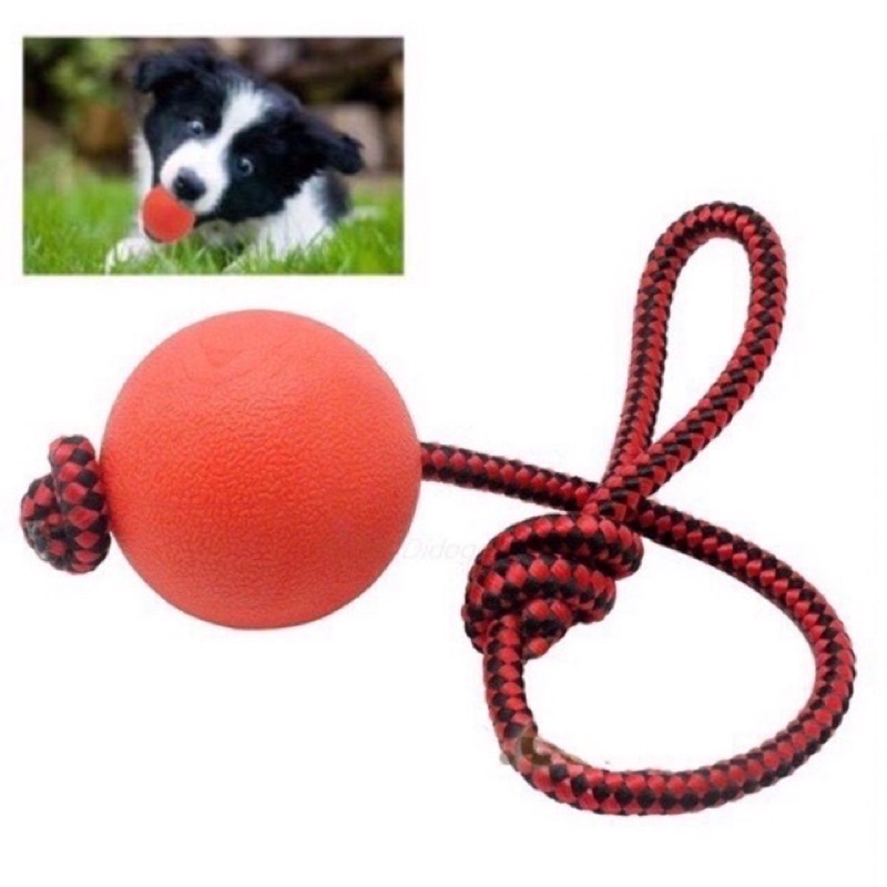 Bóng huấn luyện chó chất liệu cao su bền dẻo