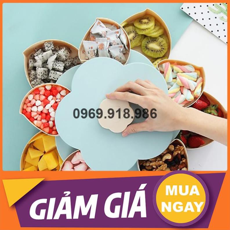 🎈 Hộp Đựng Bánh Kẹo Mứt Tết Xoay Tròn Nở Hoa 5 Cánh 2 Tầng Đẹp Cao Cấp Giá Gốc Sỉ Rẻ 💙 Tổng Kho Gia Dụng An Giang 💙