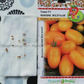 CÀ CHUA TRÁI CÂY VÀNG NGA F1
