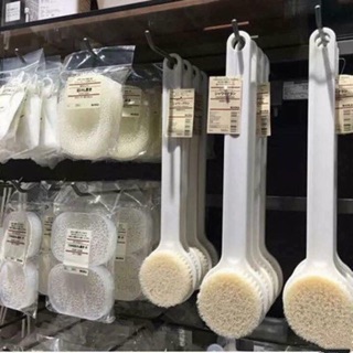 CỌ LƯNG MUJI NHẬT