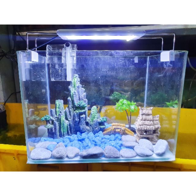 COMBO HỒ CÁ TRANG TRÍ SẴN 30x19x21cm 770