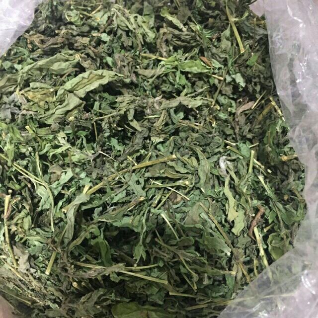 1kg Cỏ ngọt chữa cao huyết áp, tiểu đường