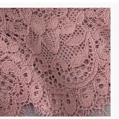 Quần Lọt Khe Ren - Quần Lót Nữ Mềm Mịn, Sexy Quyến Rũ AMYBRA L1446