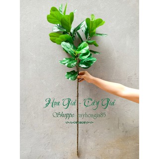 Cây giả - Cây Bàng Singapore chiều cao 1m2 (không kèm chậu)