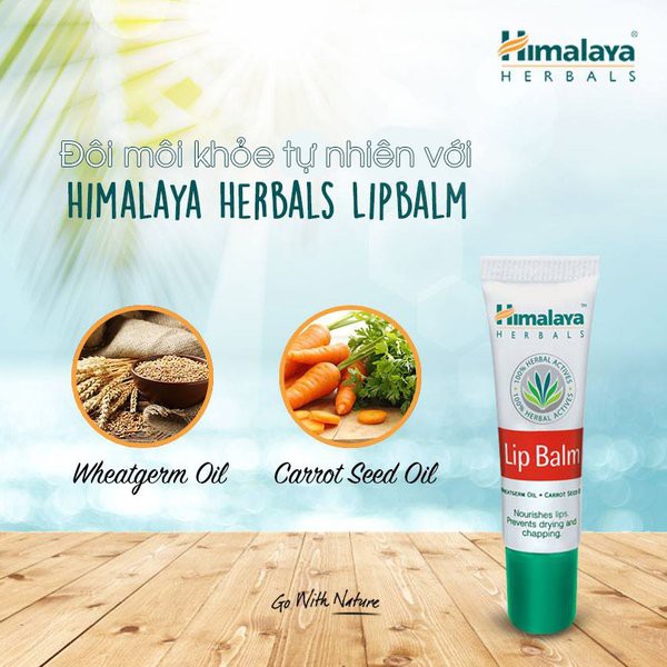 Combo 3 son dưỡng ẩm làm hồng môi Himalaya Lip Balm 10g/sản phẩm | BigBuy360 - bigbuy360.vn