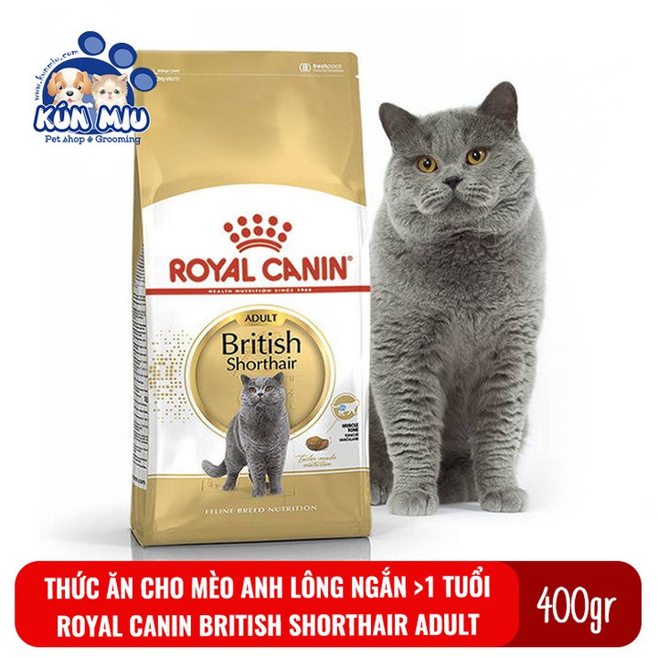 Thức ăn cho mèo anh lông ngắn trưởng thành Royal Canin British Shorthair Adult 400g (giao hàng siêu nhanh)