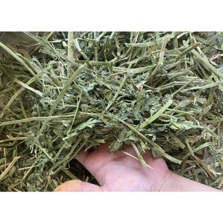 Cỏ khô alfa cho thỏ và bọ 1kg