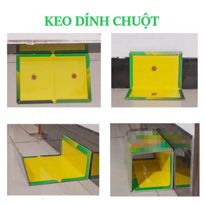 Keo dính chuột - keo bẫy chuột