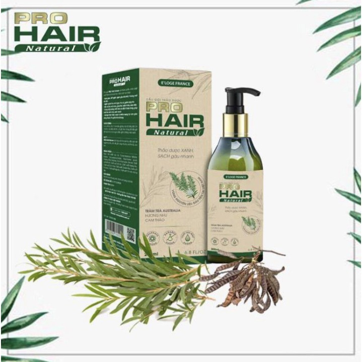 Dầu gội thảo dược Pro Hair Natural 200ml - Hương thơm thảo dược tự nhiên mang lại cảm giác sảng khoái, thư giãn