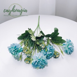 Hoa Giả - Cúc Vạn Thọ Siêu Đẹp