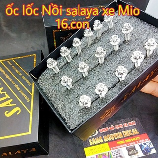 ốc máy inox salaya Nồi Mio 16con