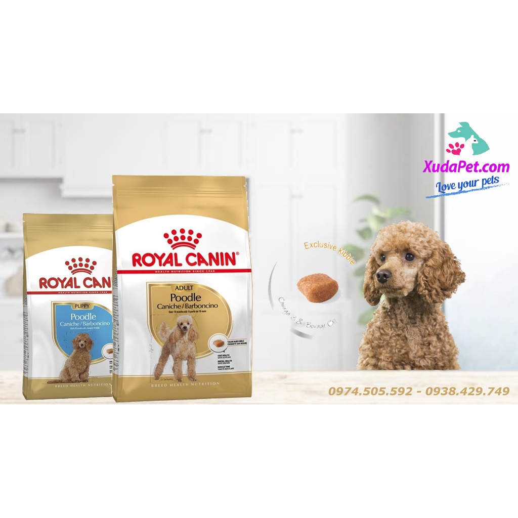 THỨC ĂN ROYAL CANIN DÀNH RIÊNG CHO GIỐNG CHÓ POODLE - SP000425