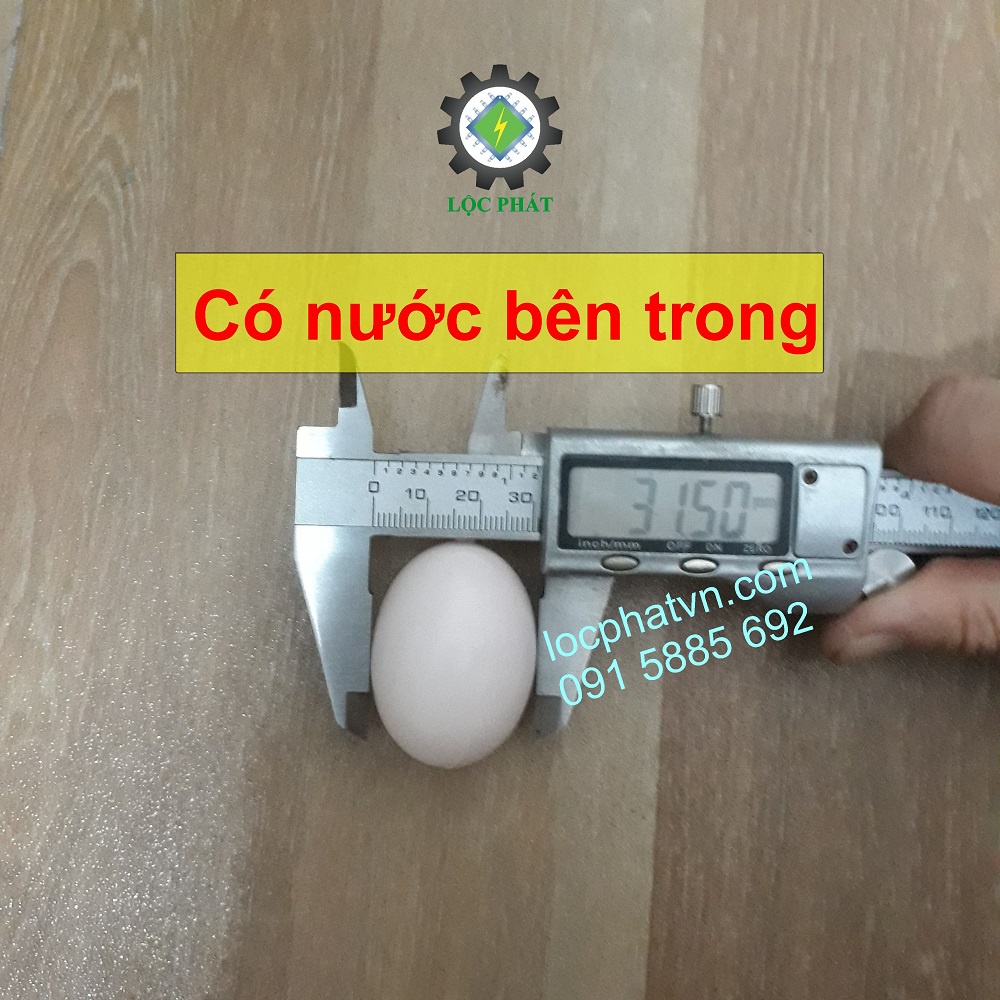 50 Trứng gà giả bằng nhựa dầy, bên trong là nước 50TRG-H