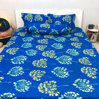 Bộ drap thun Hàn Quốc