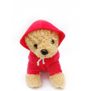 Chó Poople mặc áo hoodie