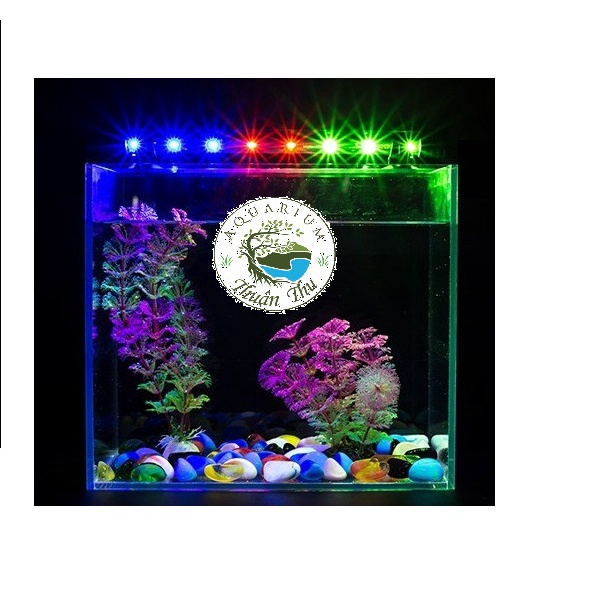 Đèn led chìm Caibao cho bể cá nhiều màu/size màu vàng/trắng/trắng xanh/hồng/xanh dương/3 màu RGB từ 30 đến 60cm