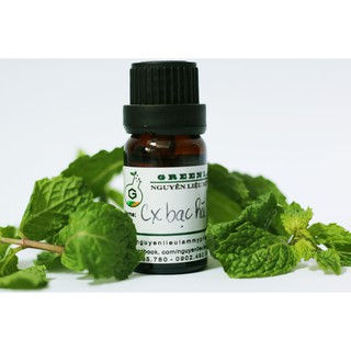 Chiết xuất bạc hà (Mint Extract) Greenlab - 5g / 10g - Nguyên liệu mỹ phẩm