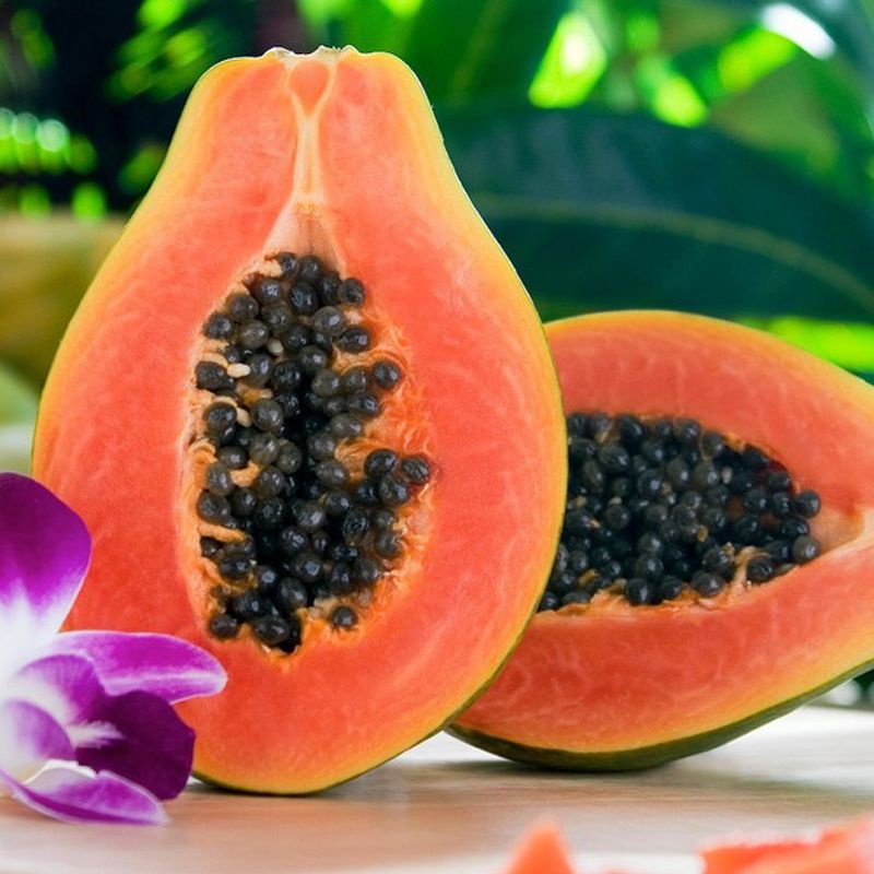 (Gói 25 Hạt )Hạt Giống Đu Đủ F1 Loại Siêu trái dễ trồng kháng sâu bệnh năng suất cao