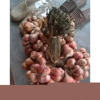 CHUẨN 1kg HÀNH TA (HÀNH KHÔ)(HÀNH KINH MÔN HẢI DƯƠNG)