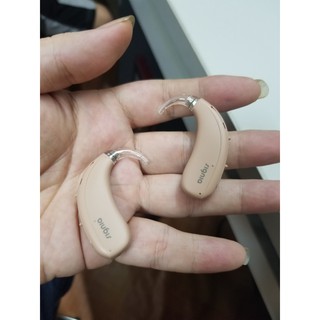 Pin máy trợ thính Signia số 13