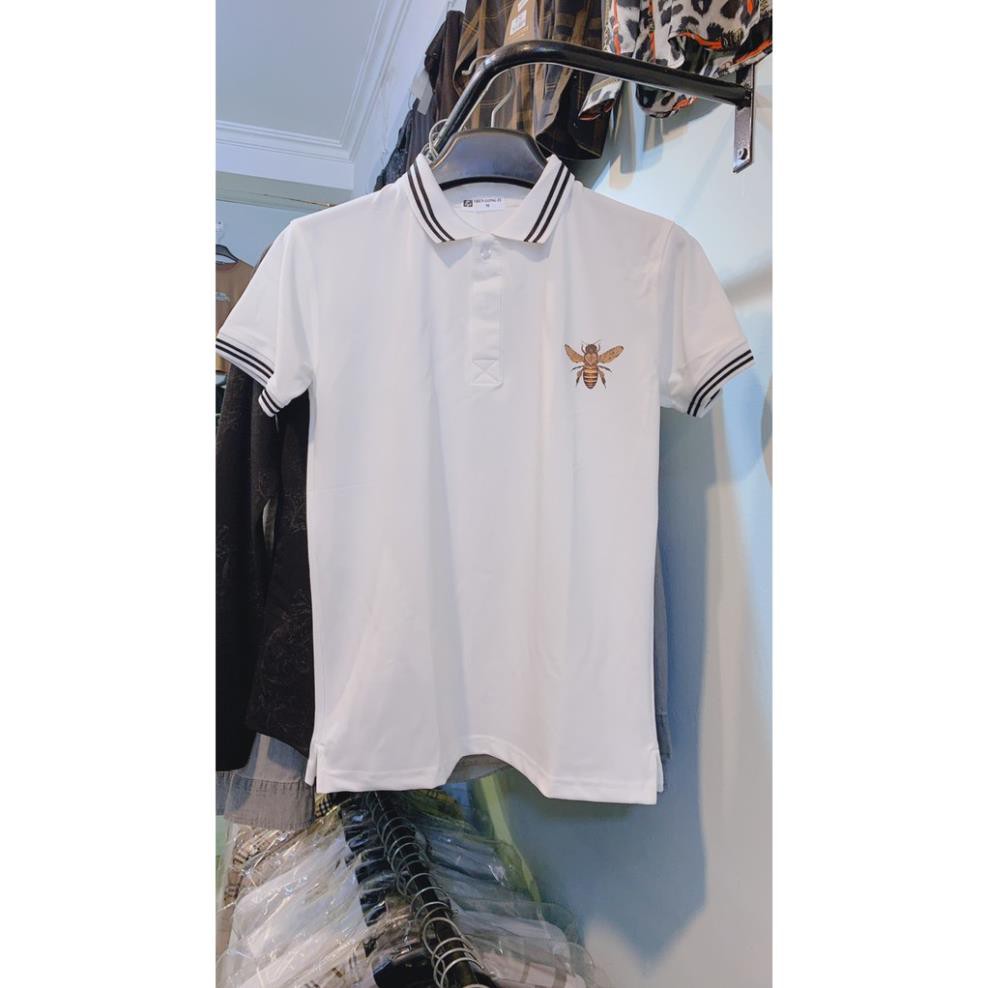 Áo POLO nam GC, Áo phông có cổ nam cổ bẻ, sản phẩm thiết kế mã PLGC2 hàng QC | BigBuy360 - bigbuy360.vn