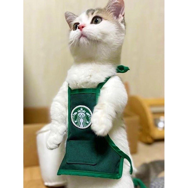 Yếm Đeo Starbucks Cho Chó Mèo Thú Cưng Siêu Cute Tặng Kèm Sticker Starbuck