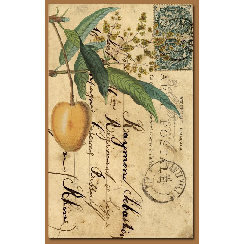 Wall Collage keo sẵng bóc dán tường trang trí decor phòng ngủ - theme Vintage Indie