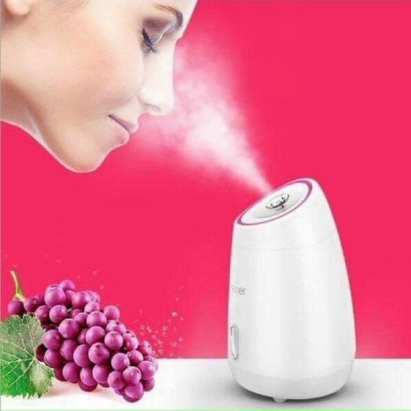 MÁY XÔNG MẶT MAOER CÓ KHOANG CHỨA HO QUẢ ĐỘC LẬP