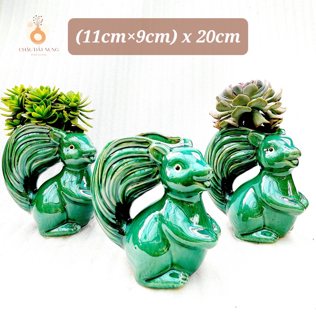 Chậu men, Chậu sen đá - Sóc tinh nghịch, miệng chậu (dọc 11cm, ngang 9cm), chiều cao 20cm